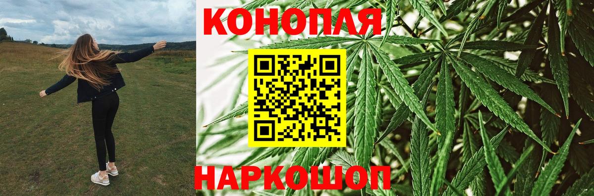 Марихуана OG Kush  МАРИХУАНА сатива  Киселёвск  Канабис White Widow  Канабис OG Kush  Вход с VPN 